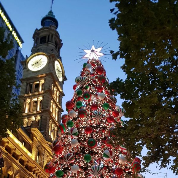 The Martin Place Christmas Tree