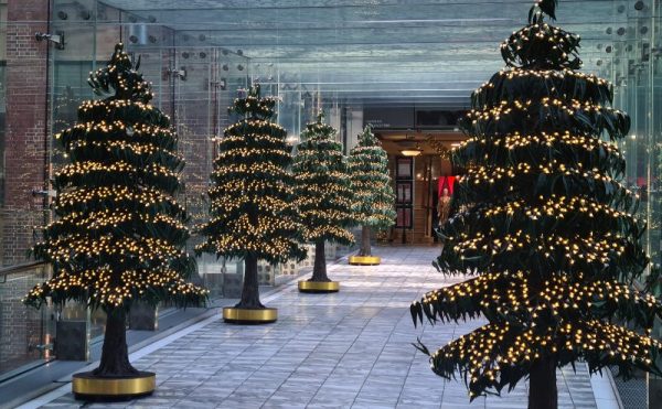 Westfield christmas trees