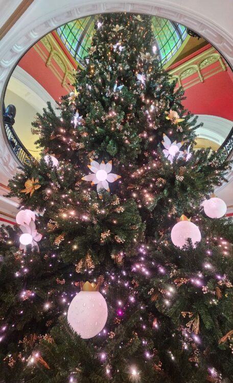 QVB Wollomi Pine Christmas tree 2023